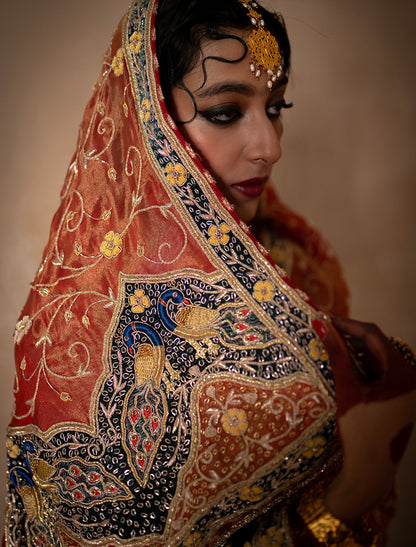 THE MAYUR SAREE